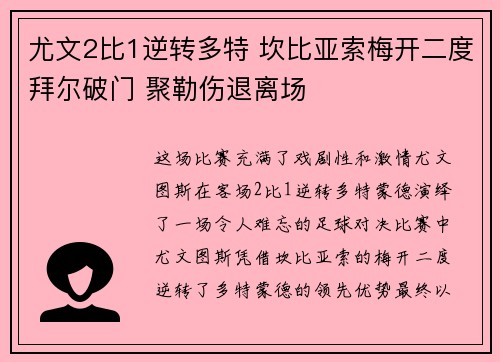 尤文2比1逆转多特 坎比亚索梅开二度拜尔破门 聚勒伤退离场